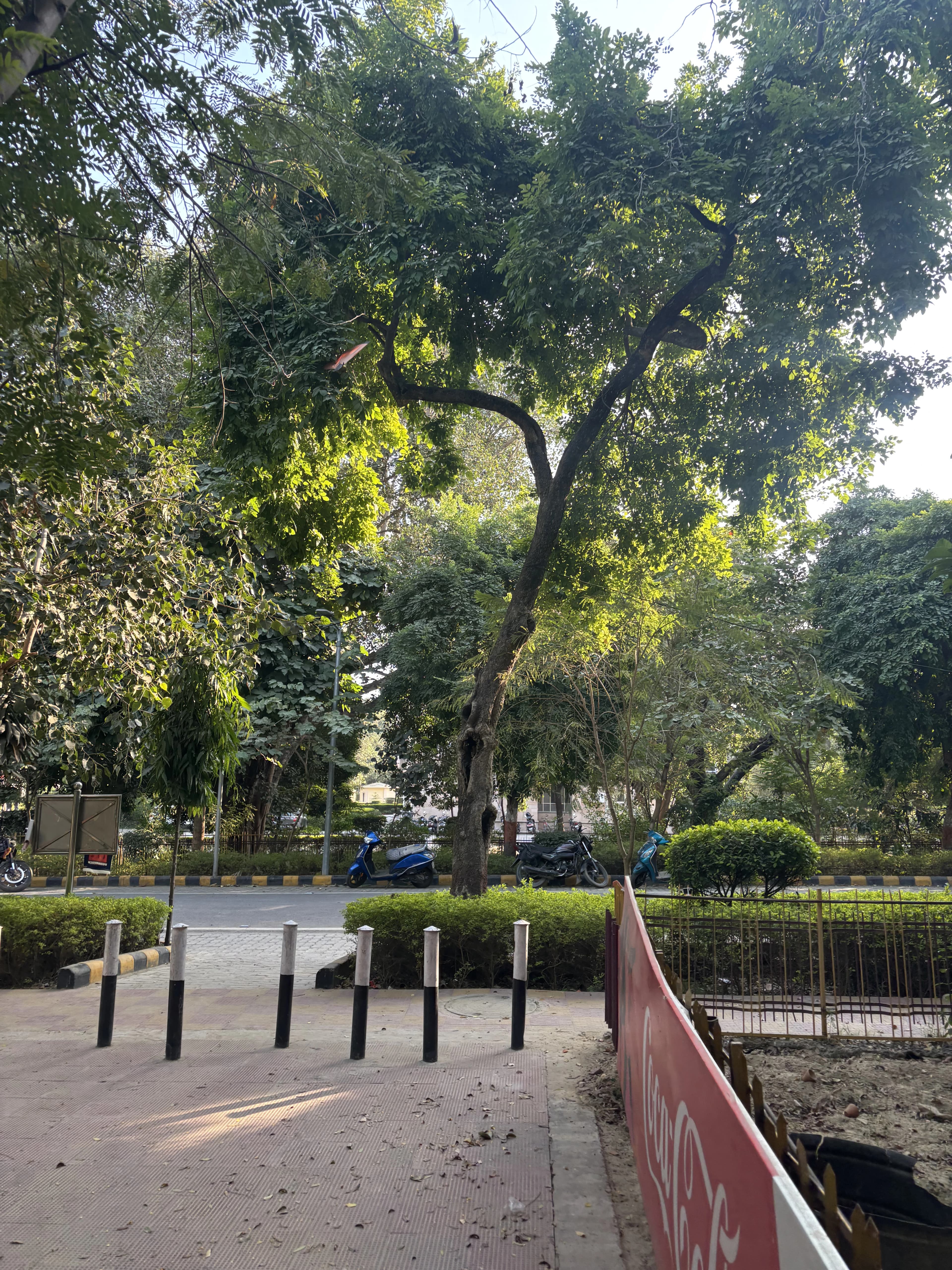 Green Campus Initiative