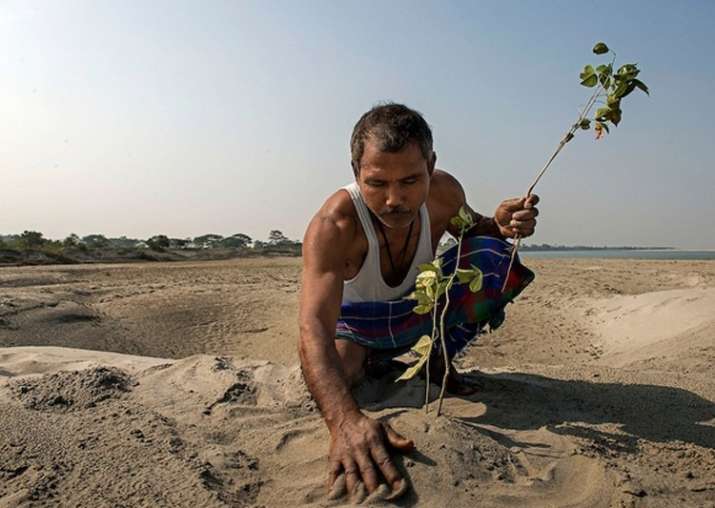 Jadav Payeng
